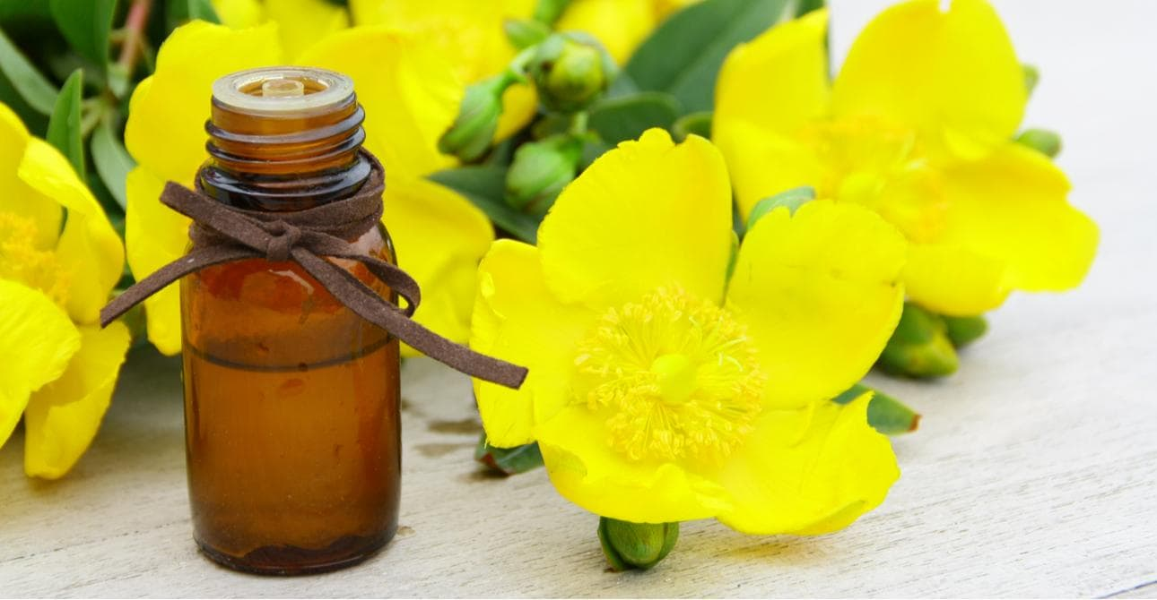 Lợi ích của Axit gamma-linolenic đối với sức khỏe con người Axit gamma-linolenic chứa Vitamin E