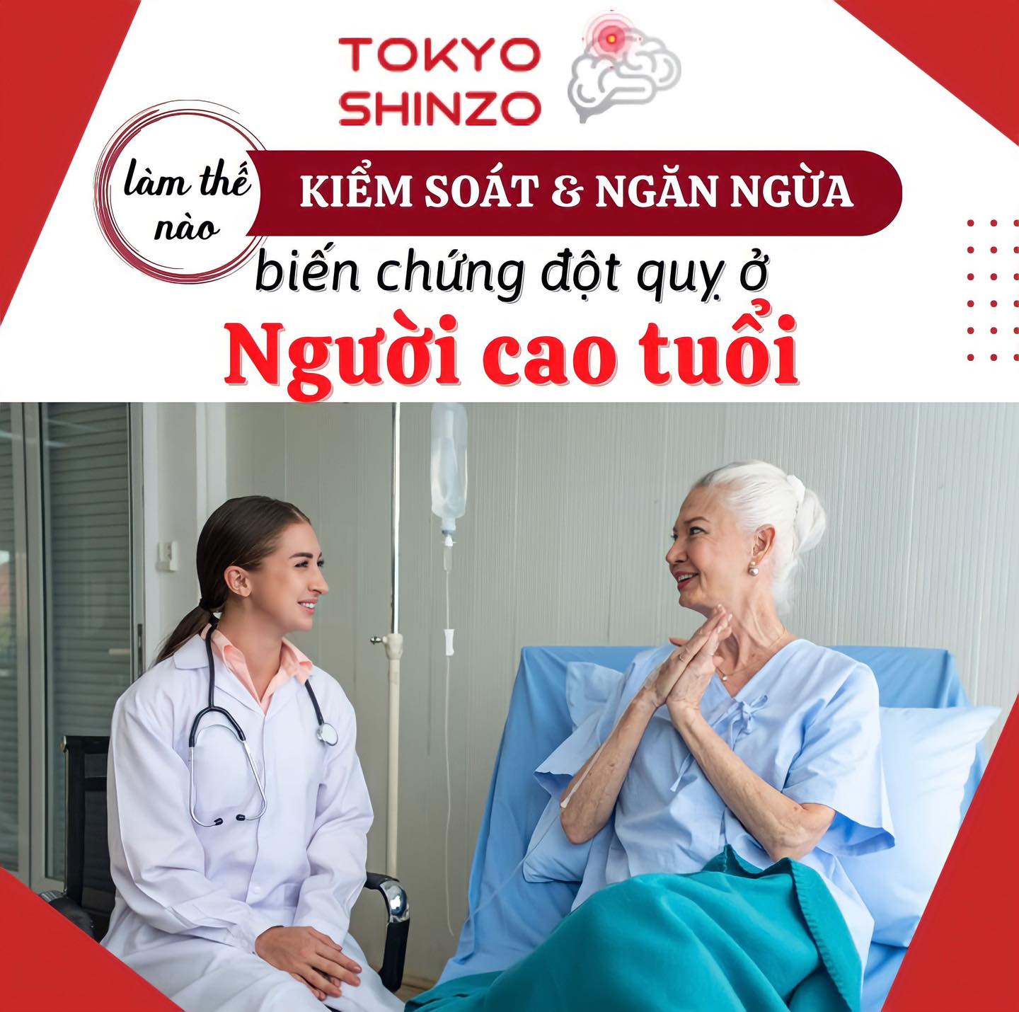 TPBVSK Tokyo Shinzo hỗ trợ kiểm soát mỡ máu, phòng ngừa đột quỵ, phục hồi sau tai biến