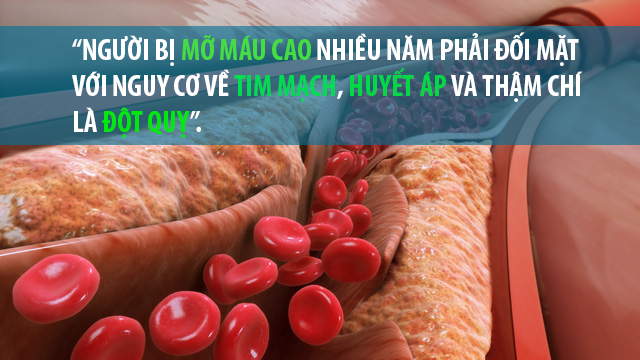 Mỡ máu cao ảnh hưởng huyết áp