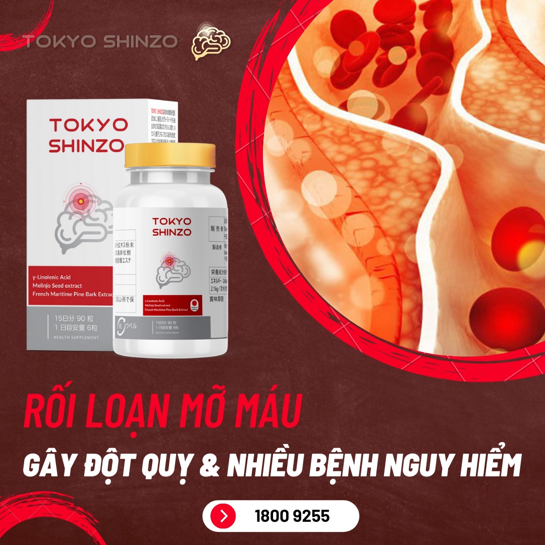 Những biến chứng nguy hiểm rối loạn mỡ máu TPBVSK Tokyo Shinzo hỗ trợ kiểm soát mỡ máu, phòng ngừa đột quỵ, phục hồi sau tai biến