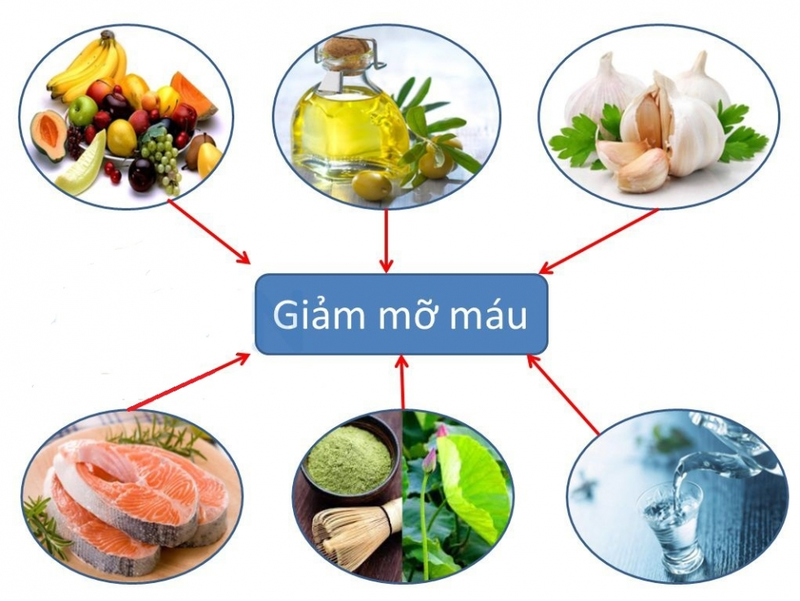 Kiểm soát chỉ số mỡ máu Triglyceride bằng cách nào?