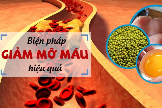 mỡ máu triglyceride