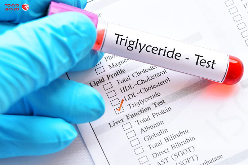 Triglyceride trong máu tăng cao