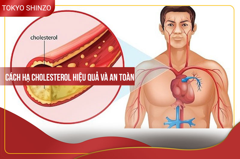 Cách hạ cholesterol hiệu quả và an toàn ha cholesterol 1