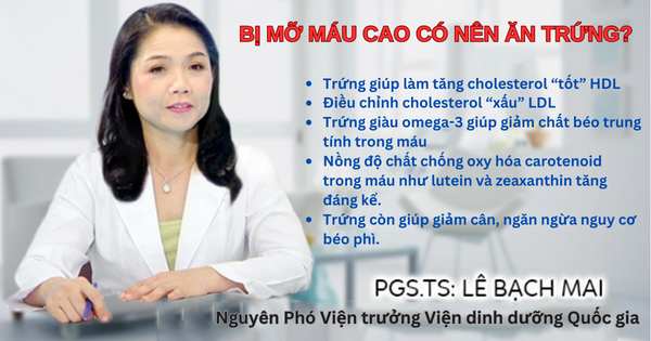 Người bị bệnh mỡ máu cao hoàn toàn có thể ăn được trứng
